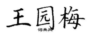 丁谦王园梅楷书个性签名怎么写