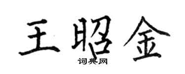 何伯昌王昭金楷书个性签名怎么写