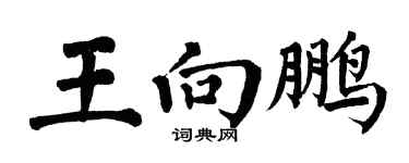翁闿运王向鹏楷书个性签名怎么写