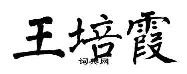 翁闿运王培霞楷书个性签名怎么写
