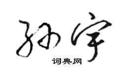 骆恒光孙宇草书个性签名怎么写