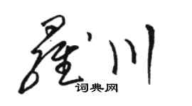 骆恒光罗川草书个性签名怎么写