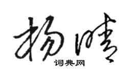 骆恒光杨晴草书个性签名怎么写