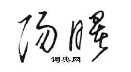骆恒光阳曙草书个性签名怎么写