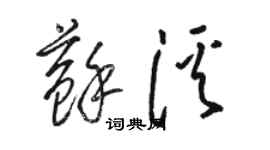 骆恒光苏溪草书个性签名怎么写