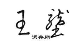 骆恒光王垄草书个性签名怎么写