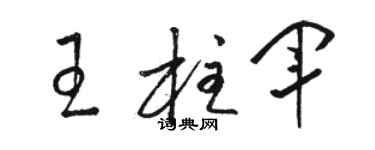 骆恒光王柱军草书个性签名怎么写