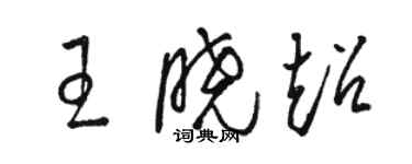 骆恒光王晓超草书个性签名怎么写