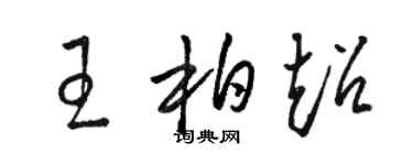 骆恒光王柏超草书个性签名怎么写