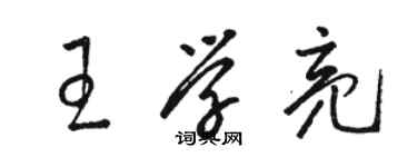 骆恒光王学亮草书个性签名怎么写