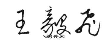 骆恒光王毅飞草书个性签名怎么写