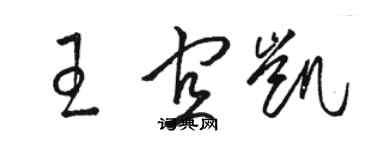 骆恒光王宜凯草书个性签名怎么写