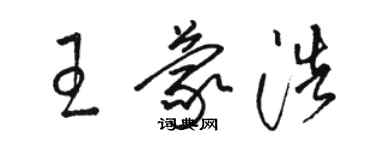 骆恒光王蒙浩草书个性签名怎么写
