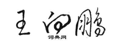 骆恒光王向鹏草书个性签名怎么写
