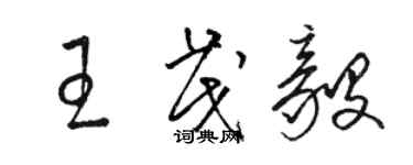 骆恒光王茂毅草书个性签名怎么写