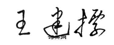骆恒光王建标草书个性签名怎么写