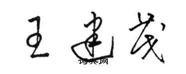 骆恒光王建茂草书个性签名怎么写