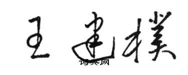 骆恒光王建朴草书个性签名怎么写