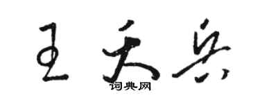 骆恒光王夭兵草书个性签名怎么写