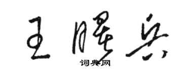骆恒光王曙兵草书个性签名怎么写
