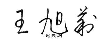 骆恒光王旭莉草书个性签名怎么写
