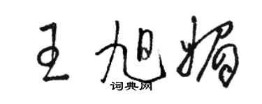 骆恒光王旭媚草书个性签名怎么写
