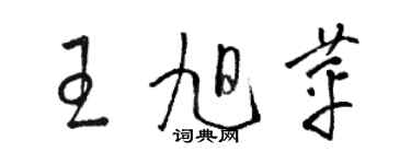 骆恒光王旭苹草书个性签名怎么写