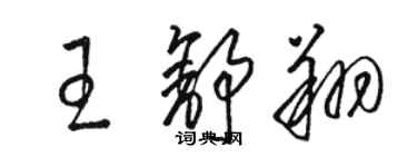 骆恒光王舒翔草书个性签名怎么写
