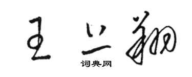 骆恒光王上翔草书个性签名怎么写