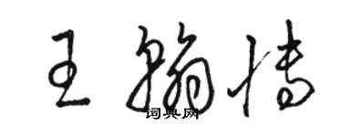 骆恒光王翰博草书个性签名怎么写