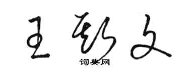 骆恒光王斯文草书个性签名怎么写