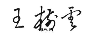 骆恒光王树云草书个性签名怎么写