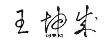 骆恒光王坤成草书个性签名怎么写