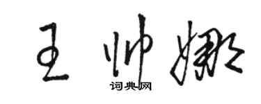 骆恒光王帅娜草书个性签名怎么写