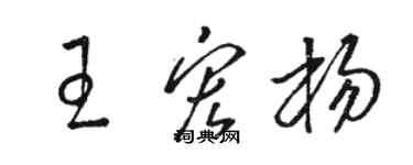 骆恒光王宏杨草书个性签名怎么写