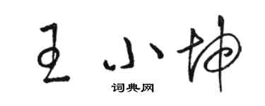 骆恒光王小坤草书个性签名怎么写