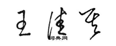 骆恒光王佳其草书个性签名怎么写