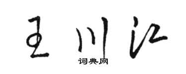 骆恒光王川江草书个性签名怎么写