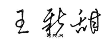 骆恒光王新甜草书个性签名怎么写