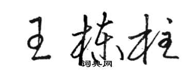 骆恒光王栋柱草书个性签名怎么写