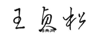 骆恒光王贞松草书个性签名怎么写