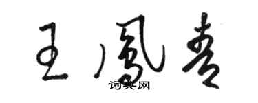 骆恒光王凤青草书个性签名怎么写
