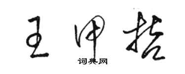 骆恒光王甲哲草书个性签名怎么写