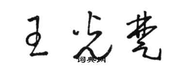 骆恒光王光楚草书个性签名怎么写