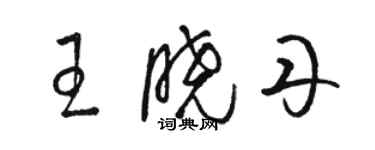 骆恒光王晓丹草书个性签名怎么写