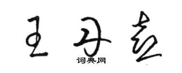 骆恒光王丹喜草书个性签名怎么写