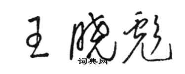 骆恒光王晓彪草书个性签名怎么写