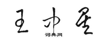 骆恒光王中星草书个性签名怎么写
