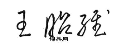 骆恒光王昭维草书个性签名怎么写