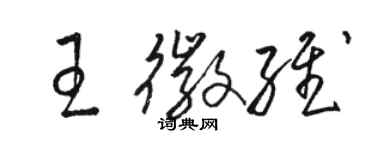 骆恒光王徽维草书个性签名怎么写